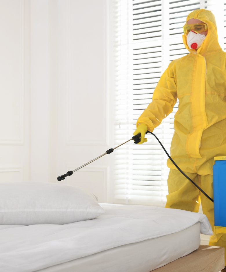 Professional Pest Control Team in Bridgewater